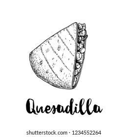 Fresh quesadilla. Hand drawn sketch style illustration. Mexican traditional fast food. Vector drawing. Isolated on white background.