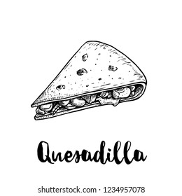 Fresh quesadilla. Hand drawn sketch style illustration. Mexican traditional fast food. Vector drawing. Isolated on white background.