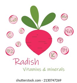 Fresh Radish with green leaves, health food, vector icon. Vitamins and minerals. Health benefits of Radish.