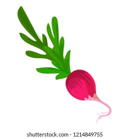 Fresh radish icon. Cartoon of fresh radish vector icon for web design isolated on white background