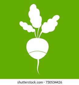Fresh radish icon white isolated on green background. Vector illustration