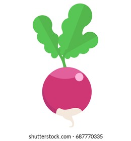 Fresh radish vegetable icon, vector illustration flat style design isolated on white. Colorful graphics