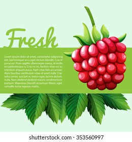 Fresh Rasberry With Text Illustration