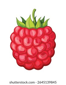Fresh raspberries in cartoon style. Vector illustration of sweet, tasty raspberries with green stems isolated on white background. Healthy, vitamin berries. Summer snacks.