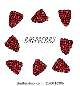 Fresh Raspberry Berries Set. Summer Harvest Collection. Realistic Hand Drawn High Quality Vector Illustration. Doodle Style.