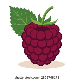 Fresh raspberry fruit with green leaves on white background, ripe and ready to eat
