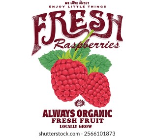 Fresh Raspberry fruit print. Nature fruit club print design. Raspberry fruit artwork. Organic food artwork for for t-shirt. Organic farm poster design. Raspberry art.