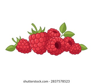 Fresh Raspberry Fruit Vector Illustration Isolated on White Background