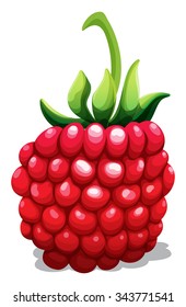 Frambuesa fresca con ilustración de tallo verde