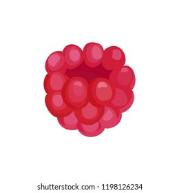 Fresh raspberry made in cartoon style isolated on white background. Vector illustration.