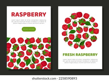 Neue App-Vorlagen für Himbeere. Bio-Reifenbeeren, gesunder natürlicher vegetarischer Produktwebbanner, Kartencartoon-Vektorgrafik