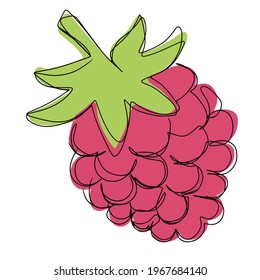 Fresh Raspberry Sticker Vector Png