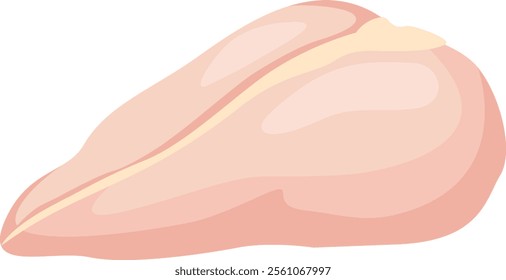 Fresh raw chicken breast fillet resting on a white background, featuring a simple vector illustration of poultry meat, serving as a versatile ingredient for various cooking needs