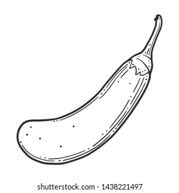 Fresh raw eggplant. Vector concept in doodle and sketch style. Hand drawn illustration for printing on T-shirts, postcards. Icon and logo idea.