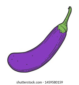 Fresh raw eggplant. Vector concept in doodle and sketch style. Hand drawn illustration for printing on T-shirts, postcards. Icon and logo idea.
