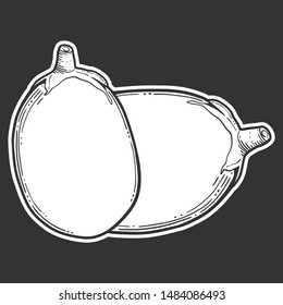 Fresh raw eggplant. Vector concept in doodle and sketch style. Hand drawn illustration for printing on T-shirts, postcards. Icon and logo idea.