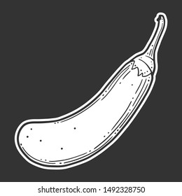 Fresh raw eggplant. Vector concept in doodle and sketch style. Hand drawn illustration for printing on T-shirts, postcards. Icon and logo idea.