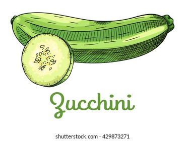 Fresh raw green zucchini and sliced piece of zucchini with seeds. Isolated set