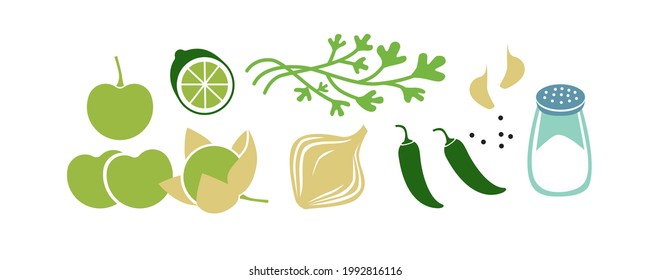 Fresh raw ingredients for salsa verde or green salsa. Horizontal vector illustration isolated on white.