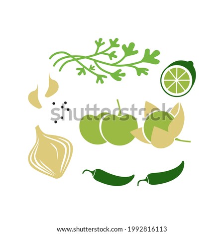 Fresh raw ingredients for salsa verde or green salsa. Vector illustration isolated on white.