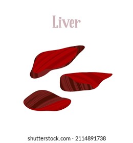 Fresh raw liver. Protein healthy nutrition product. Vector hand drawn flat isolated illustration with dry brush texture and lettering for your design on white background.