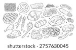 Fresh raw meat collection, sketch vector illustration. Hand drawn food isolated design elements. Pieces of beef steak, ham, pork fillet, lamb chops.