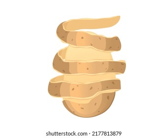 Papas de peeling crudas frescas procesadas ilustraciones vectoriales aisladas en fondo blanco
