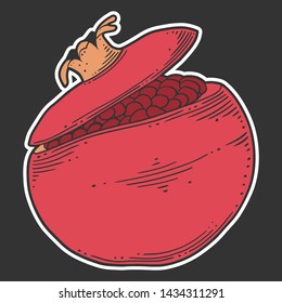Fresh raw pomegranate. Vector concept in doodle and sketch style. Hand drawn illustration for printing on T-shirts, postcards. Icon and logo idea.