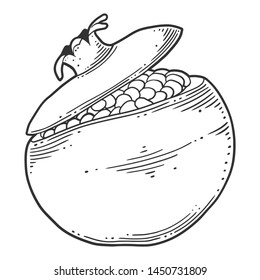Fresh raw pomegranate. Vector concept in doodle and sketch style. Hand drawn illustration for printing on T-shirts, postcards. Icon and logo idea.