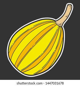 Fresh raw pumpkin. Vector concept in doodle and sketch style. Hand drawn illustration for printing on T-shirts, postcards. Icon and logo idea.