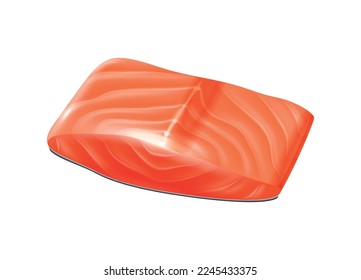 Fresh raw salmon fillet realistic vector illustration