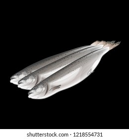 Fresh raw salmon fish. Vector illustration isolated on black background