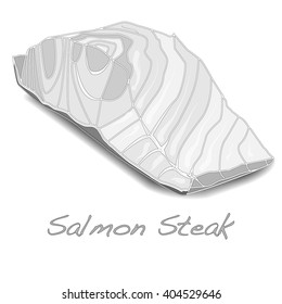 Fresh Raw Salmon Red Fish Steak isolated vector