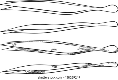 Fresh raw shoots of green onions. Isolated set