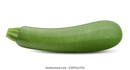 Fresh raw vegetable marrow zucchini isolated on a white background. Realistic 3d vector illustration. Can be used for advertising, packaging, banner, print, web design