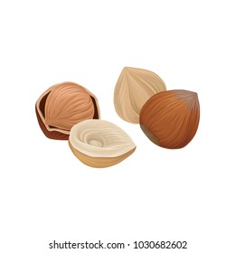 Fresh raw whole and half of hazelnut. Organic ingredient icon for packing decoration. Natural product. Healthy food. Stylish cartoon design. Detailed vector illustration