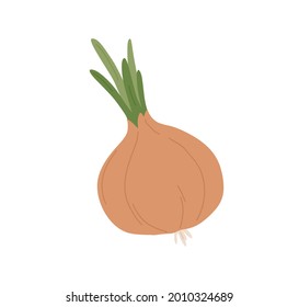 Fresh raw yellow onion with green tops. Whole vegetable with bulb and peel. Healthy organic veggie icon. Natural ingredient. Flat vector illustration of farm food isolated on white background