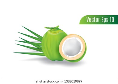 fresh realistic 3d vector green coconut on isolated background