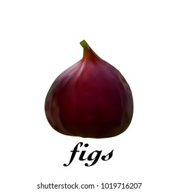 Fresh realistic figs fruit on a white background