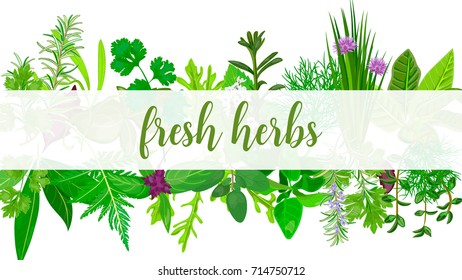 Fresh Realistic herbs and flowers with text. Horizontal. plants above and below. Concept idea for logo, tag, banner, prints, restaurant, wrapping, health products. Herbs and Spices shop logo