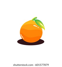 fresh realistic Orange fruit vector illustration