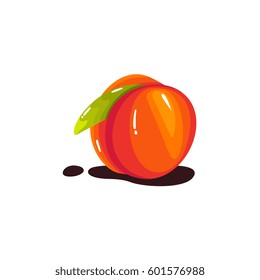 fresh realistic Peach fruit vector illustration