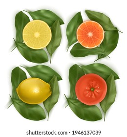 Fresh realistic slice orange or tangerine and lemon, vector format