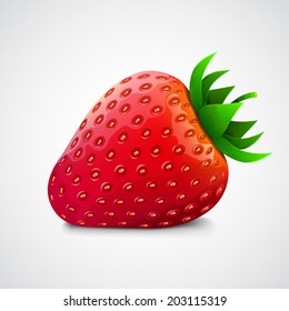 Fresh realistic strawberry. Isolated on white. Vector illustration