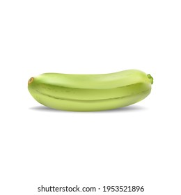 Márdula vegetal fresca y realista sobre un fondo blanco aislado. Oblong, squash verde. Calabacín de médula vegetal o calabacín. Cosecha ingrediente orgánico de calabacín.