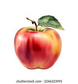 Fresh Red Apple Fruit with Leaf Isolated Beautiful Watercolor Painting Illustration Vector