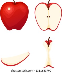 Fresh red apple fruit in whole, half, core, and quarter slice versions. Isolated vector illustrations.