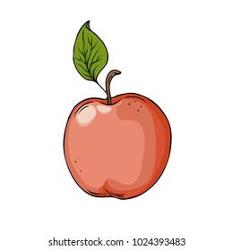 Fresh red apple with green leaf drawn by ink isolated on white background. Hand drawn vector illustration.