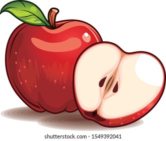 fresh red apple illustration vector