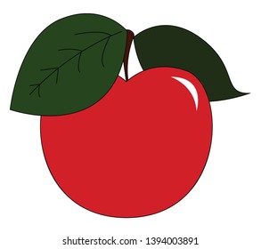 A fresh red apple plucked just from the tree vector color drawing or illustration